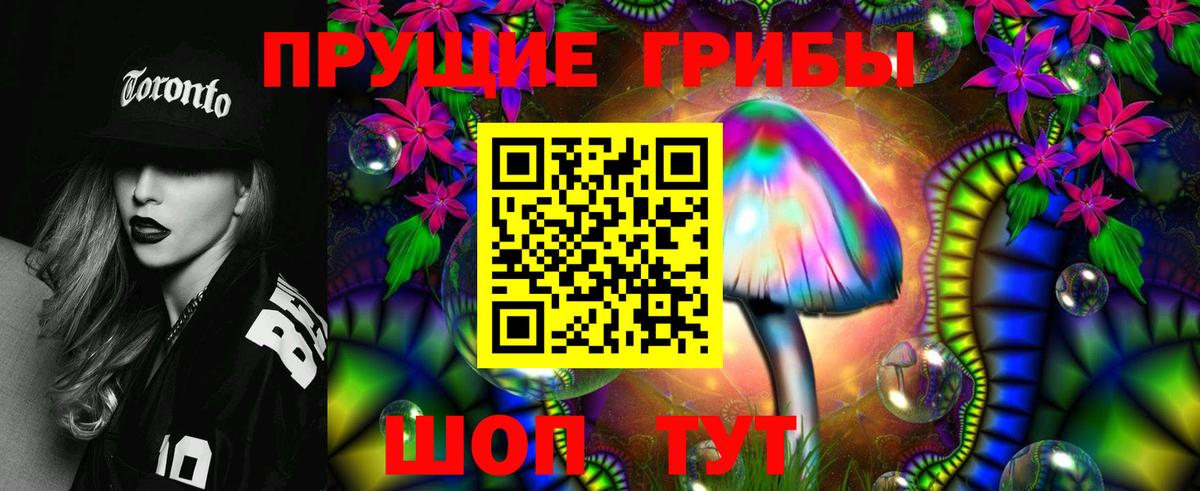 Галлюциногенные грибы Psilocybe  Вход с VPN  сколько стоит  Клин 