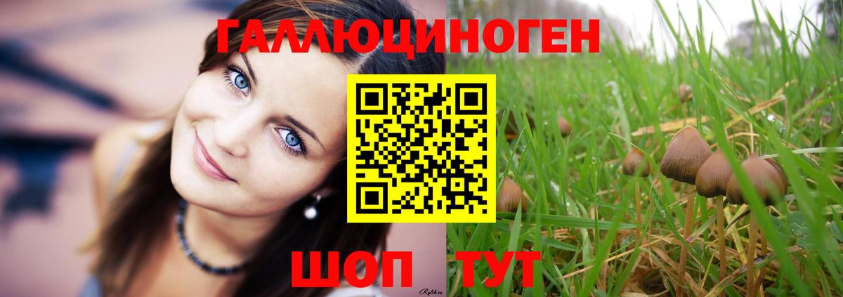 Псилоцибиновые грибы ЛСД Клин